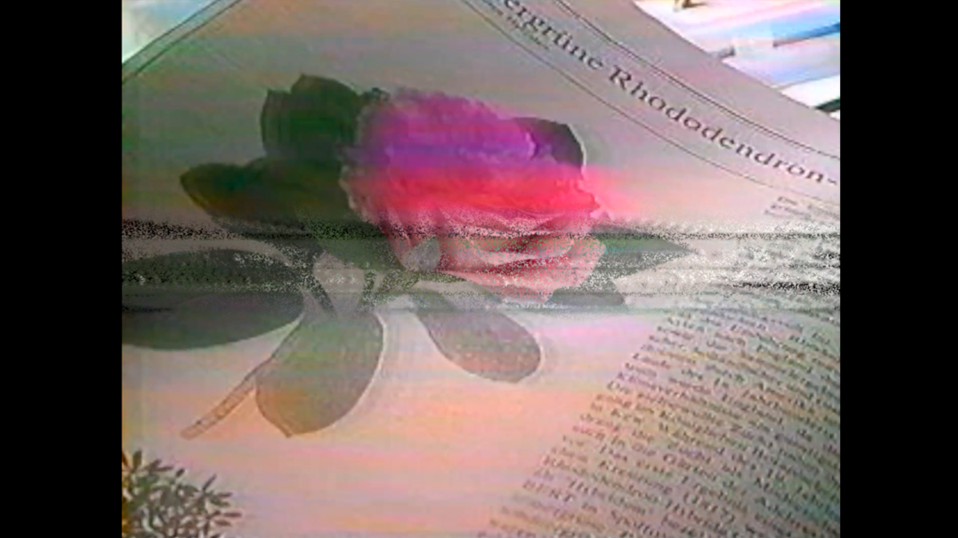 Memory Decay