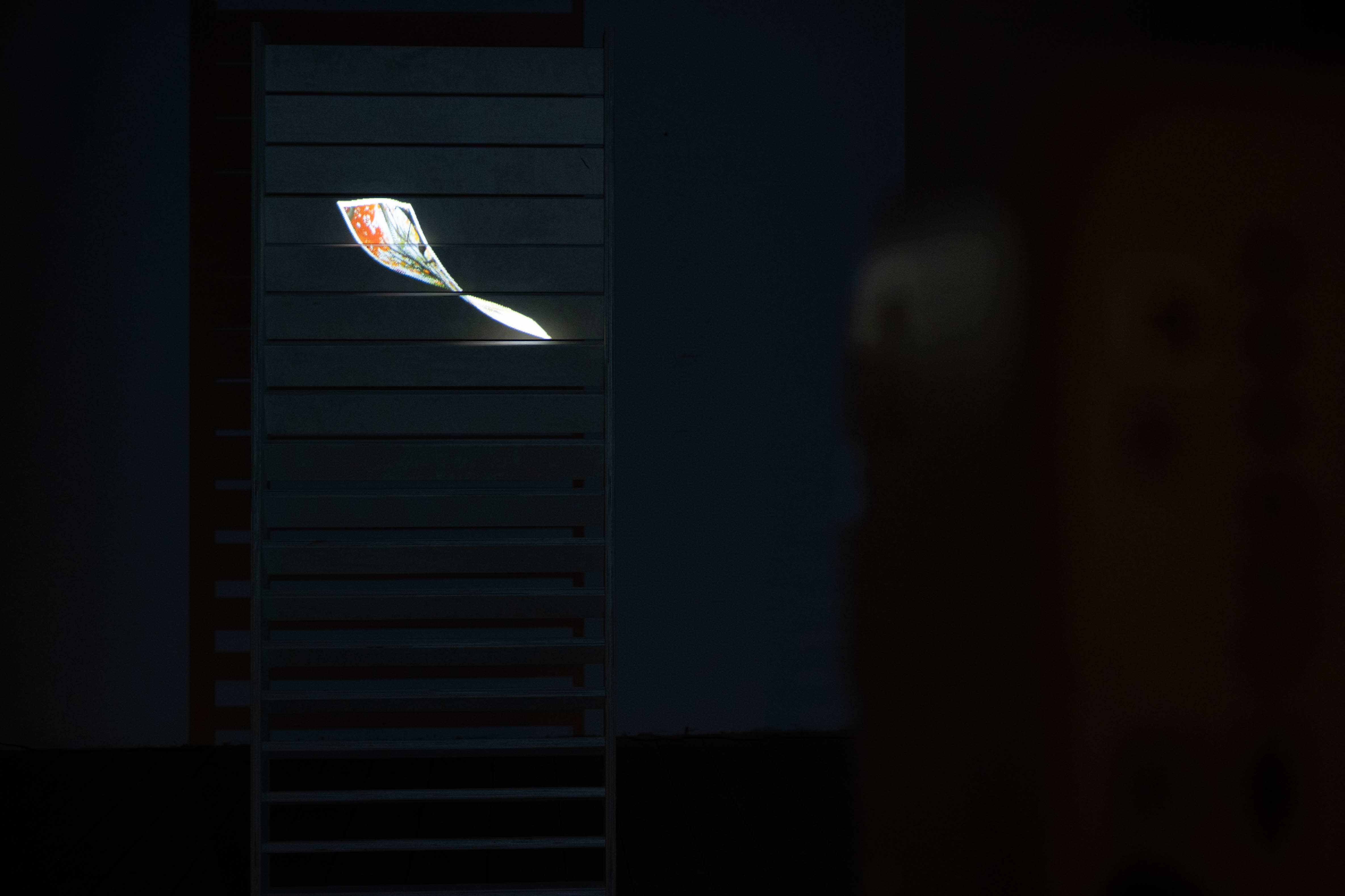 Memory Trace