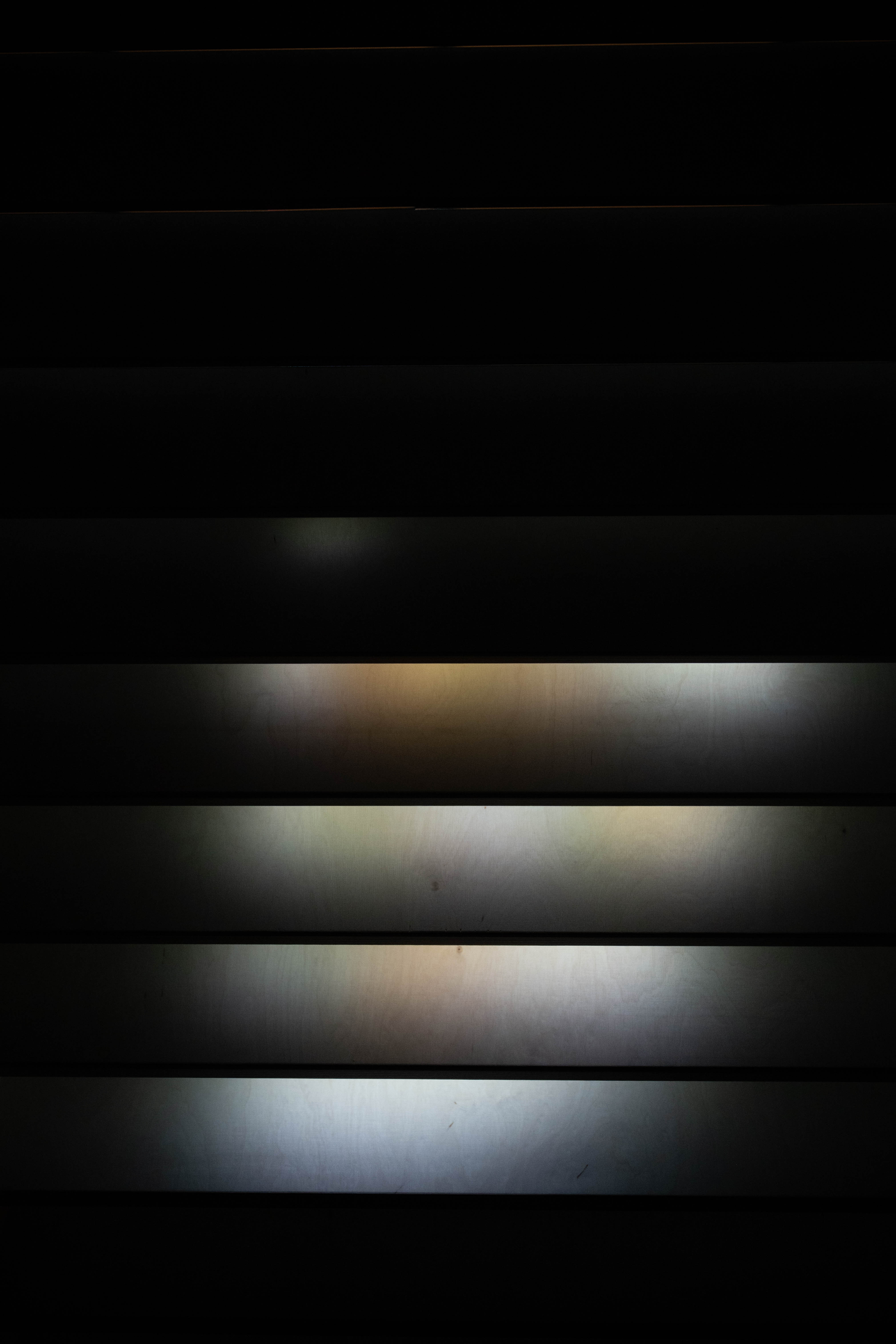Memory Trace
